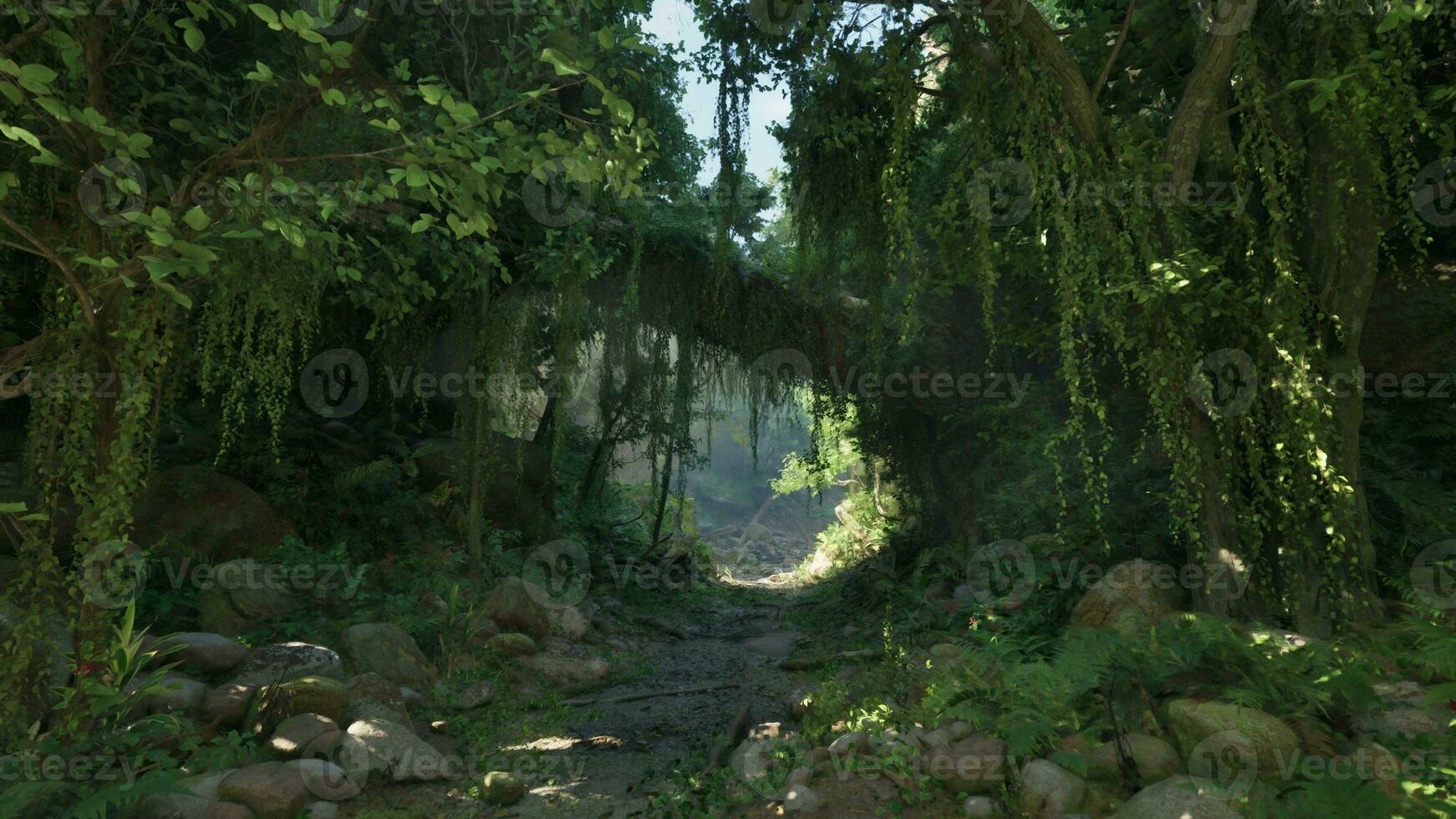 A scenic dirt road surrounded by lush trees and rugged rocks in New Zealand photo