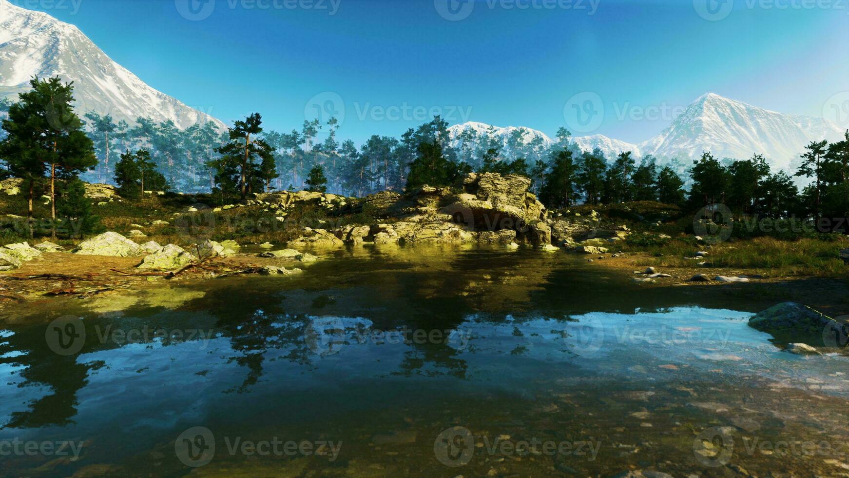 Blue water in a forest lake with pine trees photo