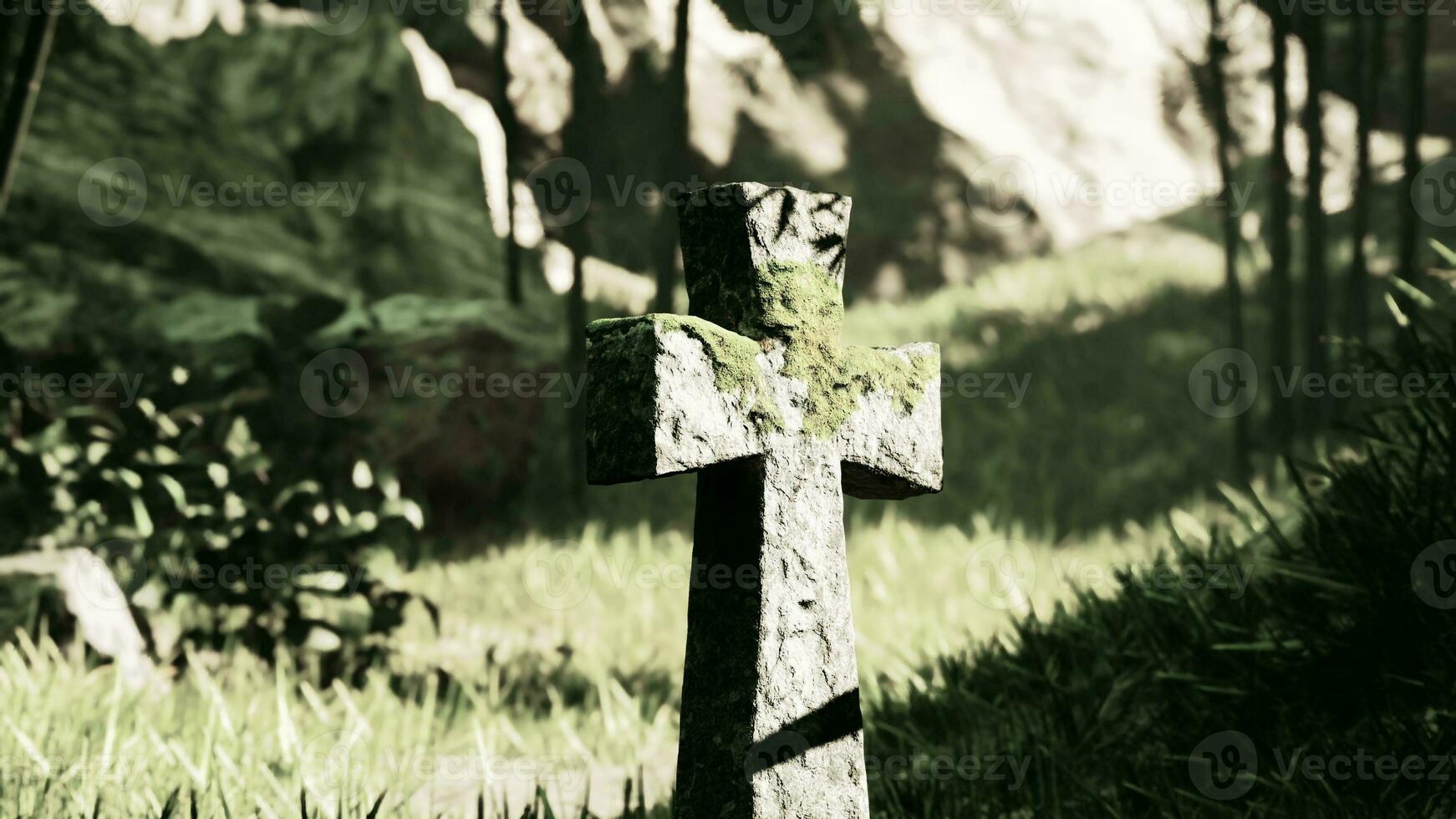 decaying grave monument among the greenery photo