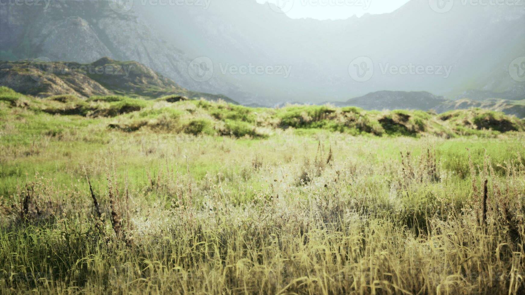 barren rocky mountain landscape with dry grass and numerous stones photo