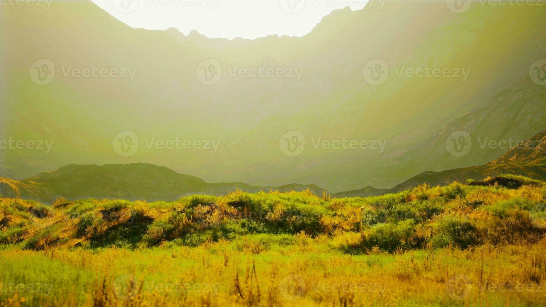 montañoso Desierto paisaje con rocoso terreno y pocos plantas foto