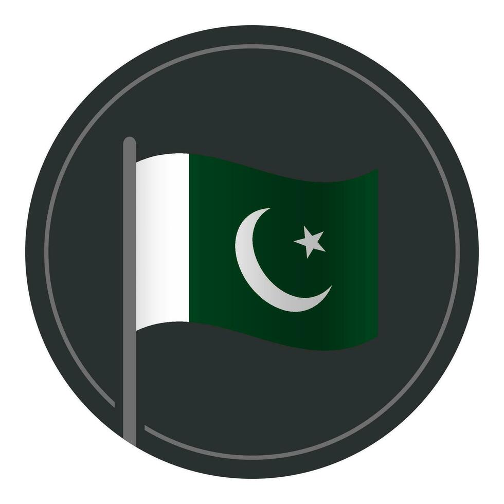 resumen Pakistán bandera plano icono en circulo aislado en blanco antecedentes vector