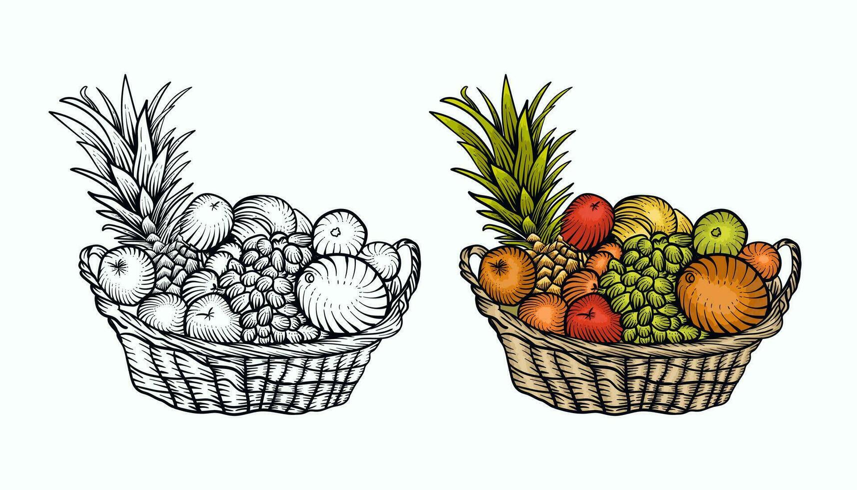 Fruit basket vintage vector illustration. Hand drawn engraved style illustration. Monochrome graphic art with engraved design elements.