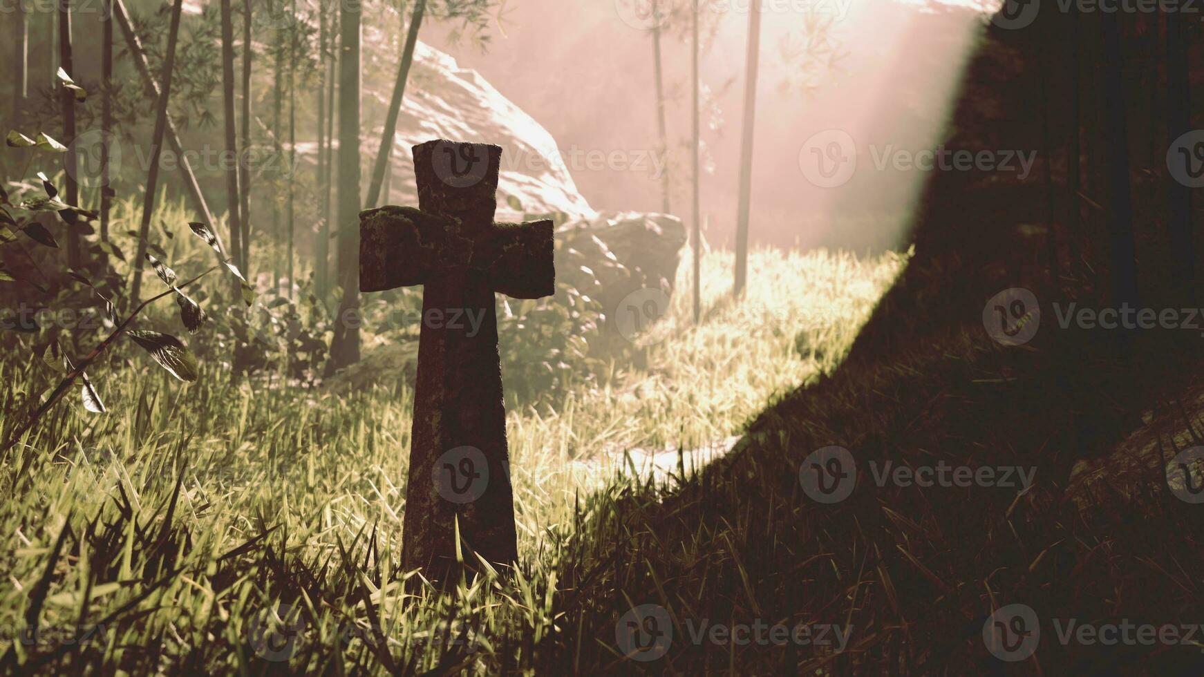 antiguo cementerio en bambú selva arboleda foto