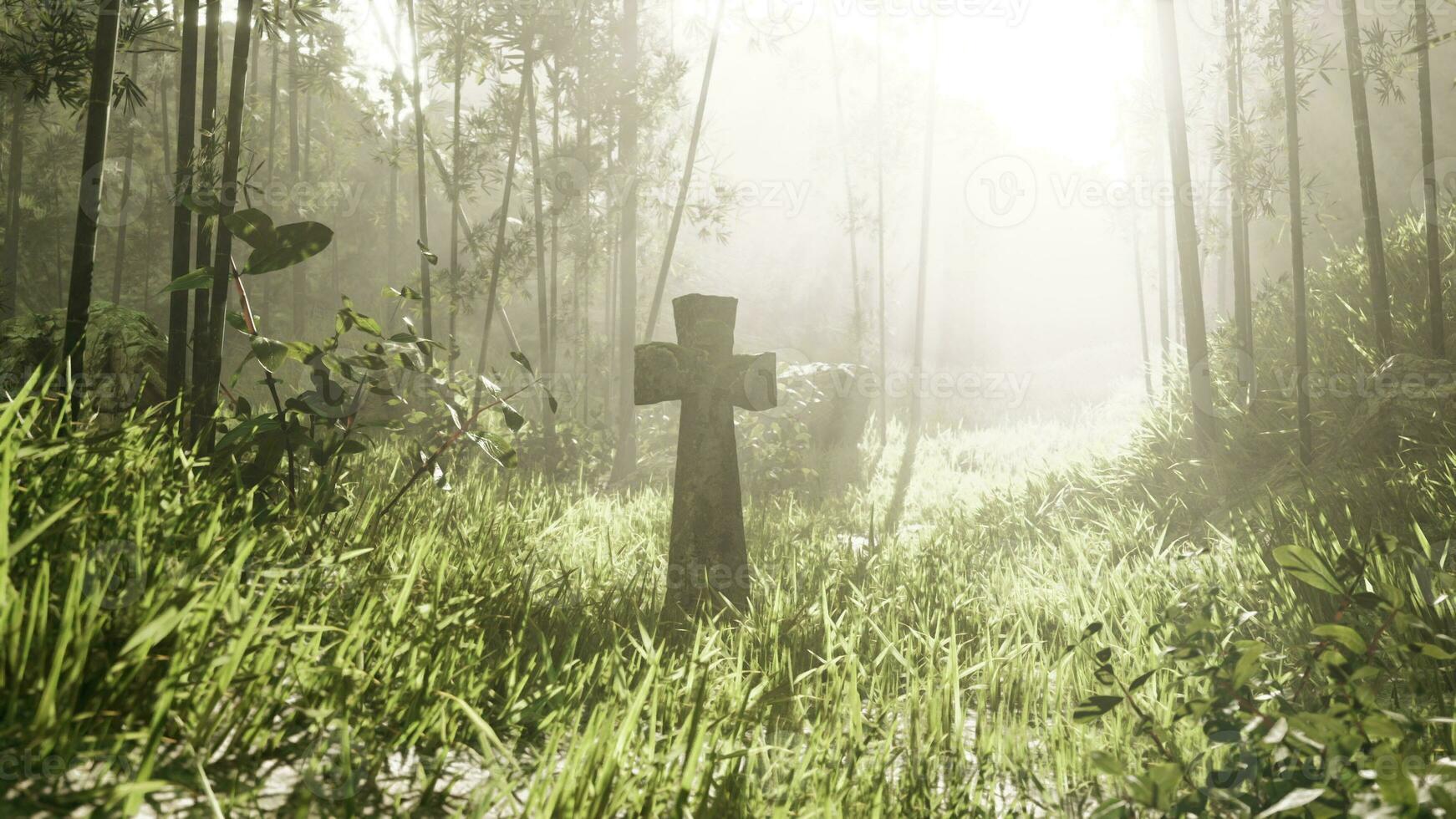 mossy cross marking a burial site in the jungle photo