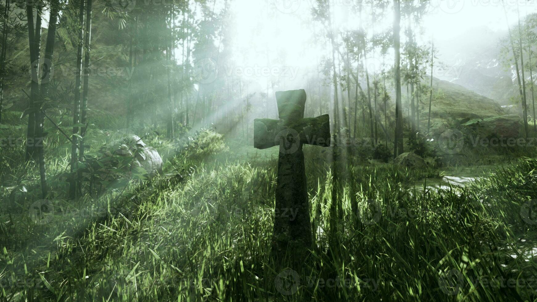 weather-beaten grave marker in the tropical forest photo