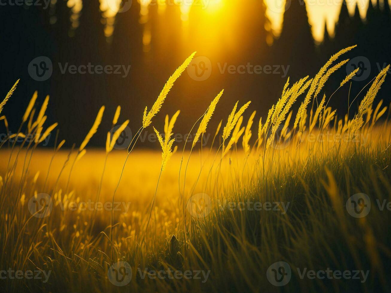 AI generated Glowing Fields of Winter Soft Focus Sunset Meadow with Yellow Flowers Nature's Embrace. A Symphony of Colors Warm Winter Sunset Meadow with Abstract Soft Focus Nature Harmony photo