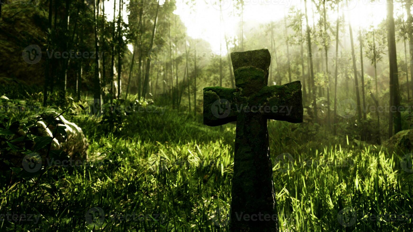 moss-covered tombstone in the dense forest photo