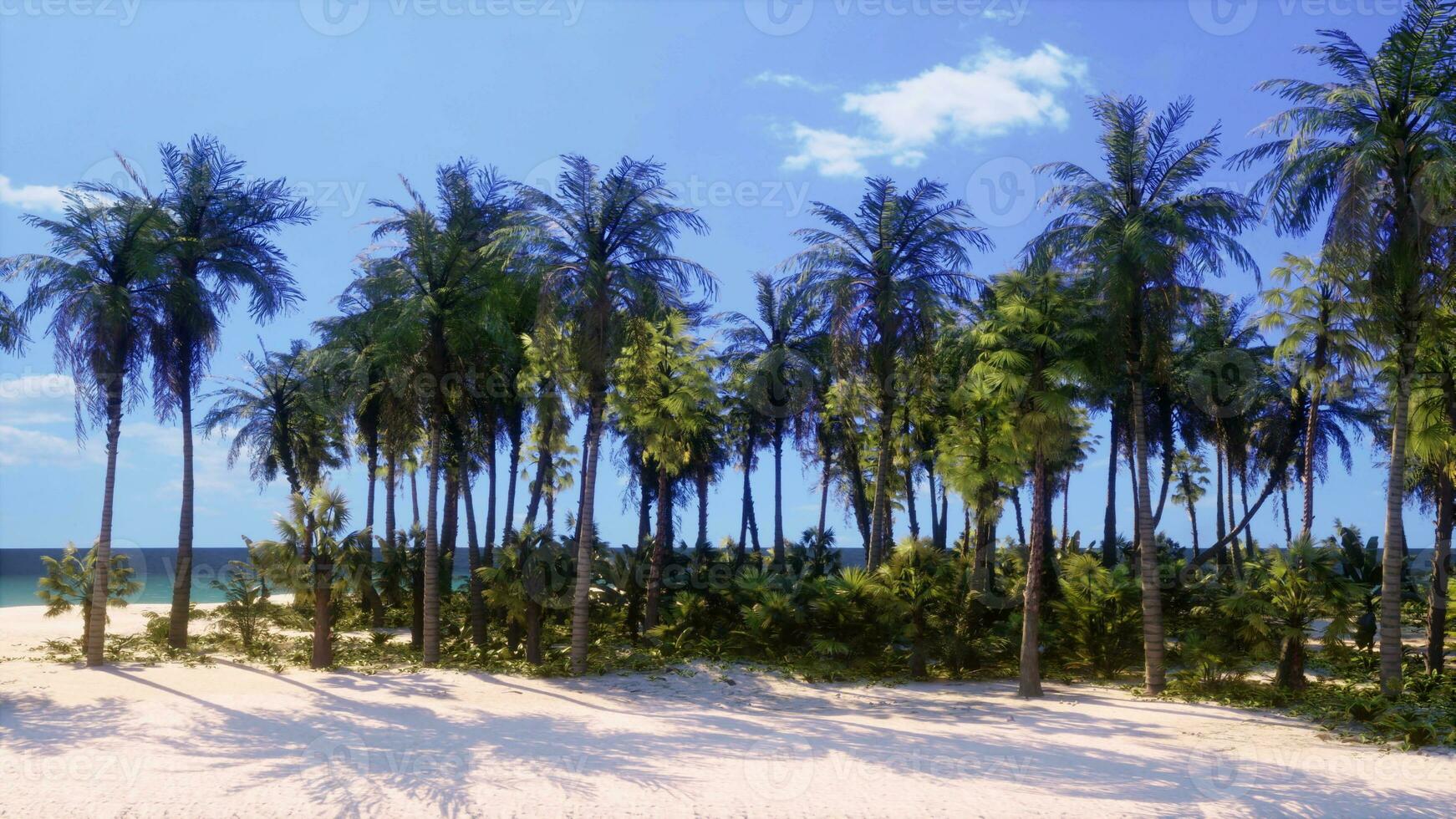 un tropical paraíso con palma arboles y claro como el cristal aguas foto