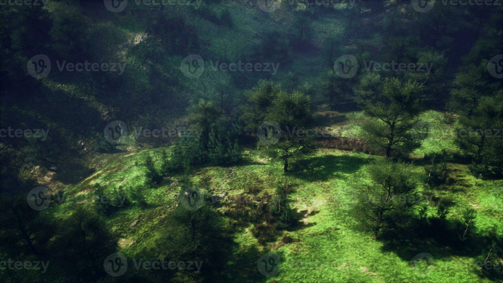 Foggy summer morning in the mountains photo