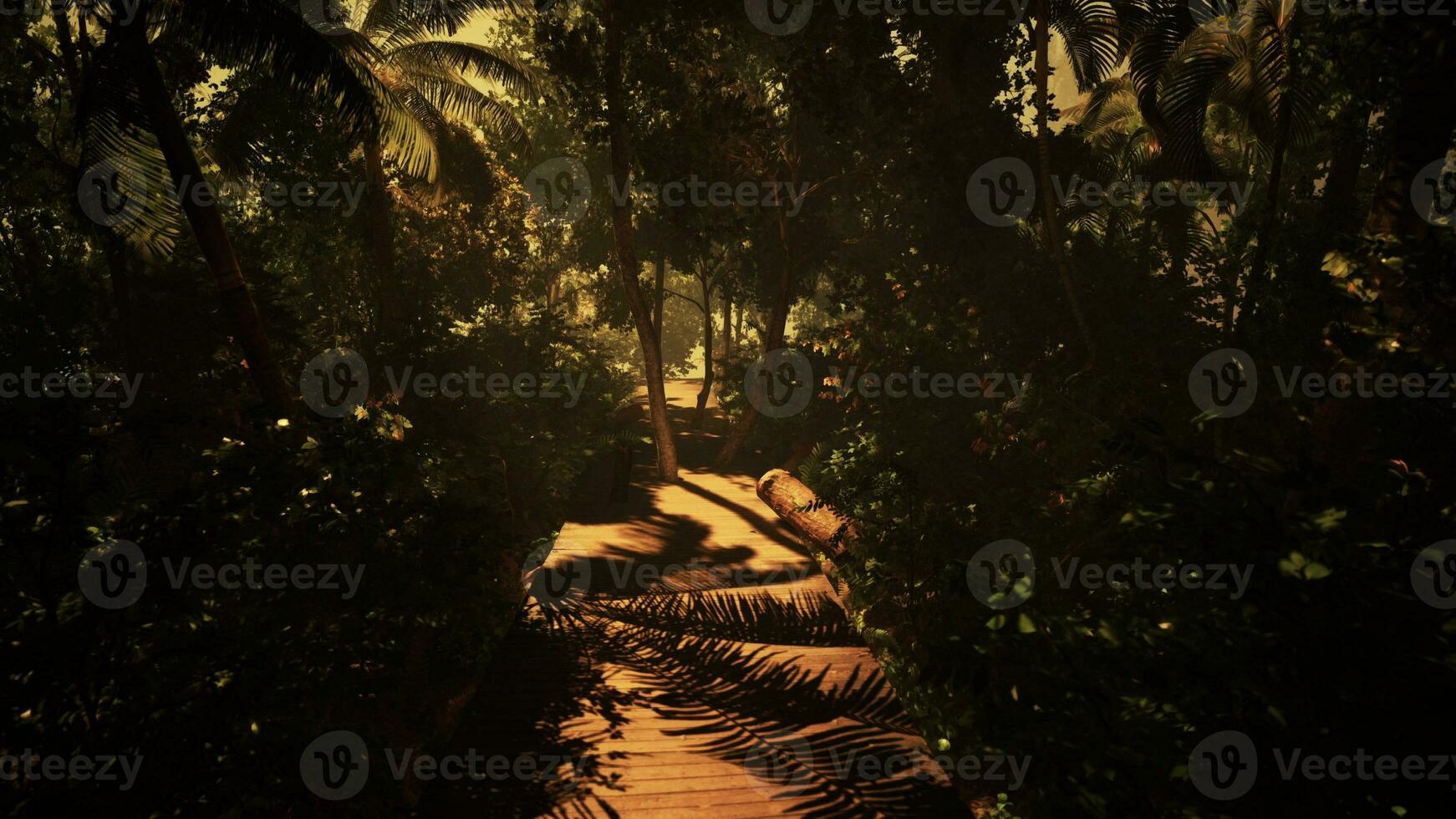 Exploring a misty trail in the dense tropical foliage photo