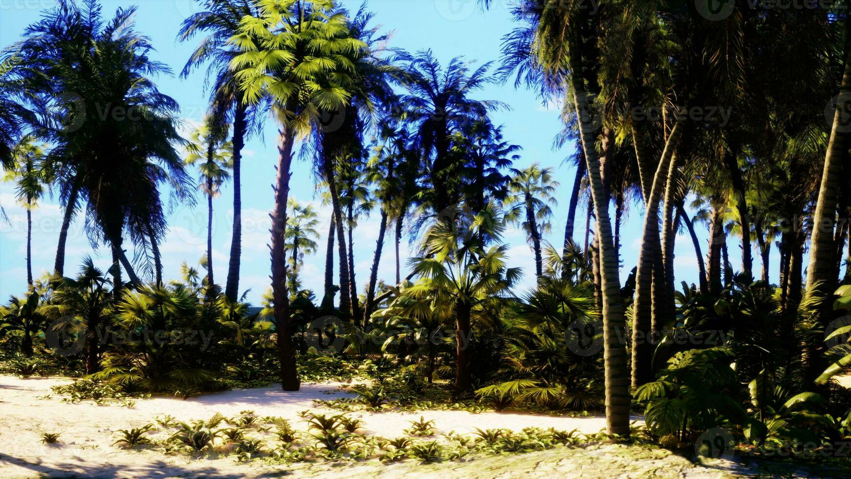 un hermosa playa paraíso con palma arboles y claro azul cielo foto