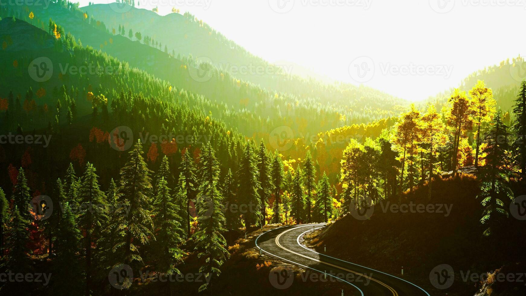 A winding road through a picturesque forest at sunset photo