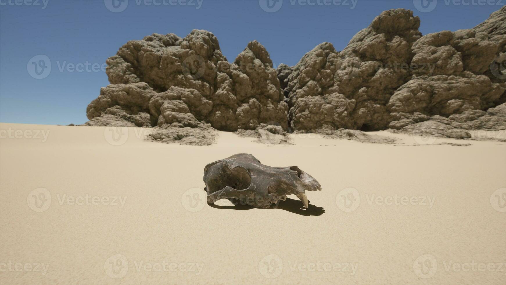 A dead animal in the middle of a desert photo