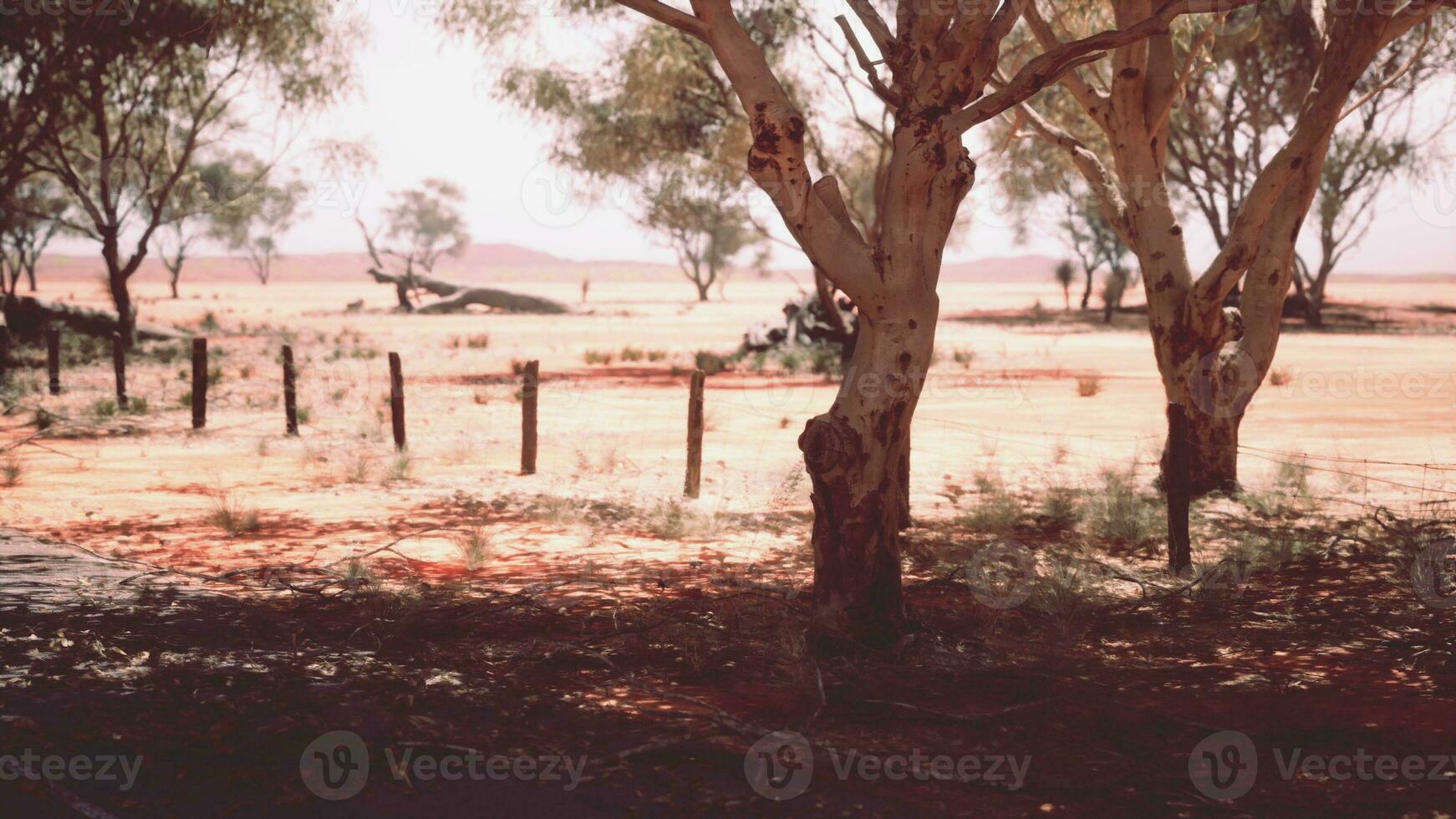 The open road in Kimberly of Western Australia photo