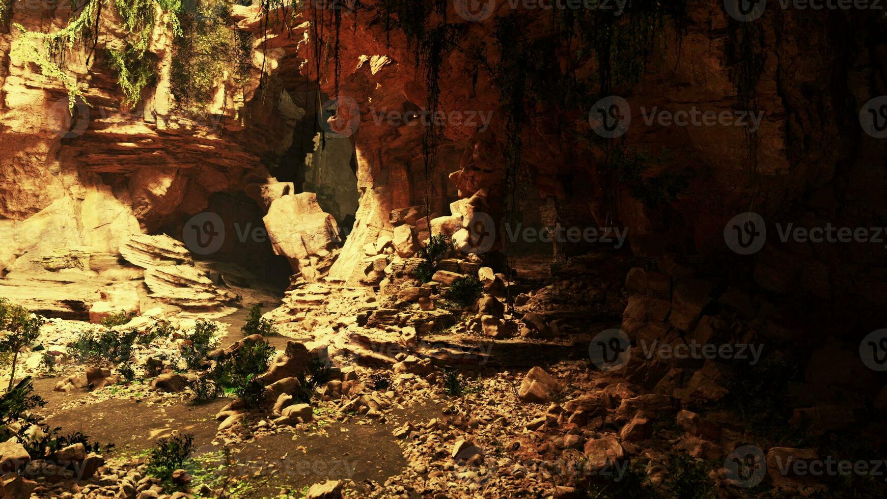 A mysterious and lush cave filled with an abundance of rocks and plants photo