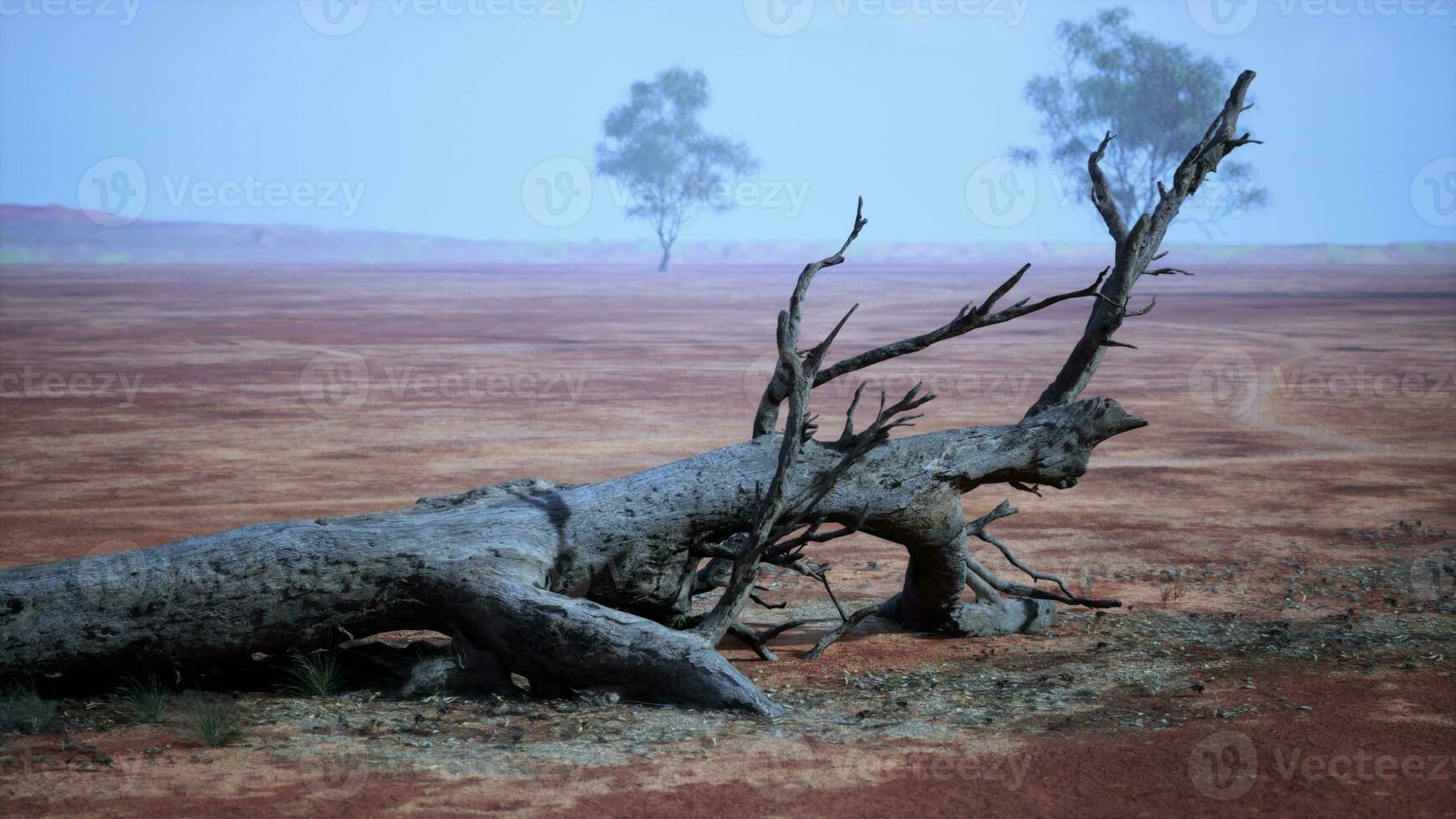 A fallen tree in the middle of a barren desert landscape photo