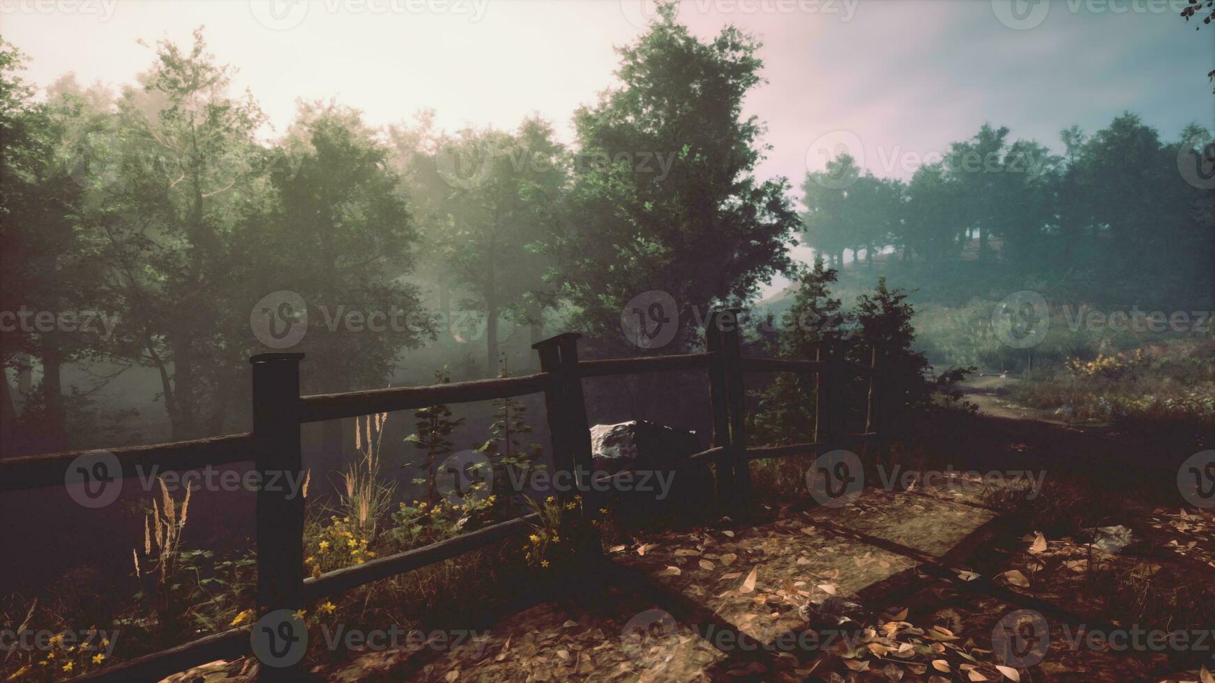 A serene wooded area with a rustic fence photo