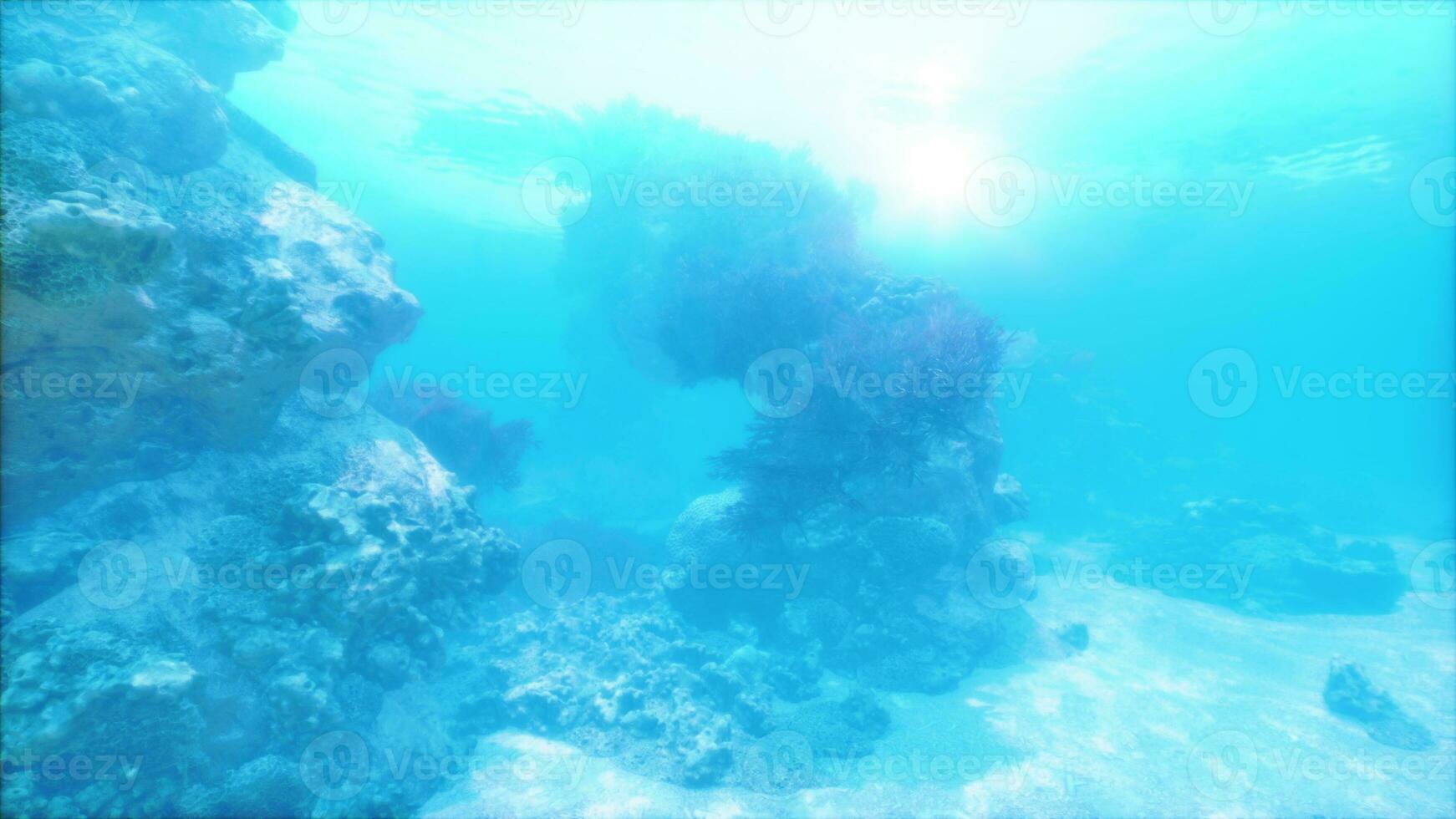 An underwater view of a rock formation in the ocean photo