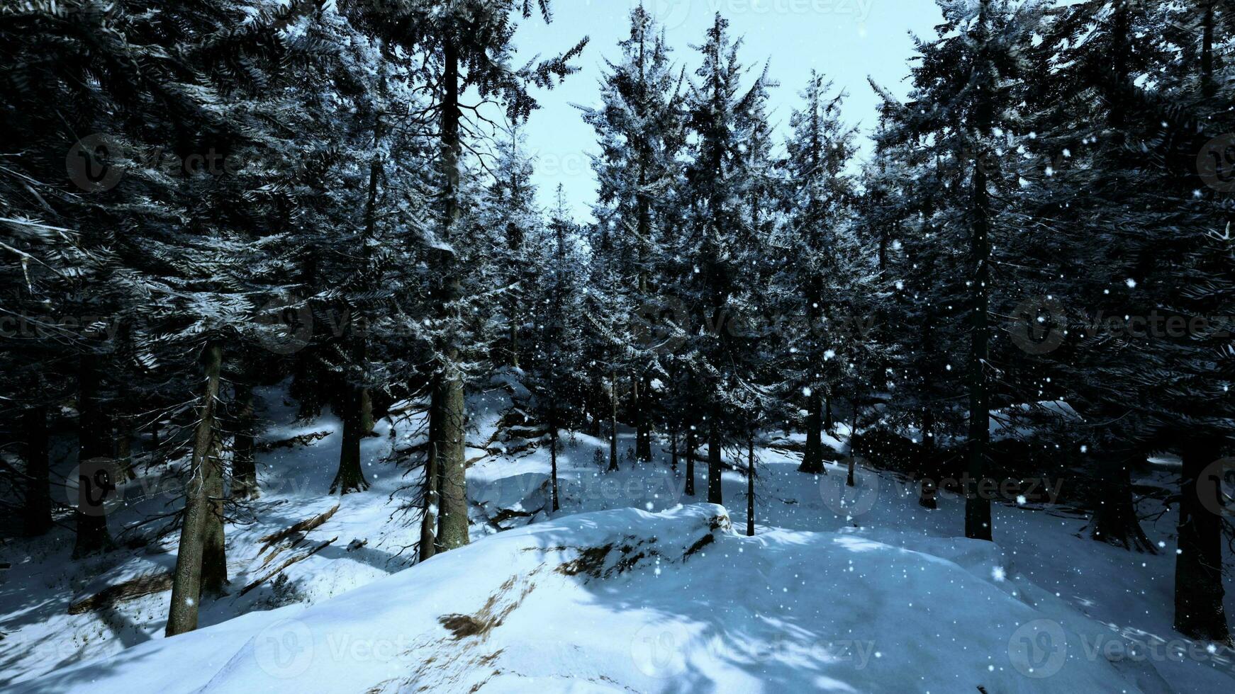 A winter wonderland with a dense forest covered in sparkling snow photo