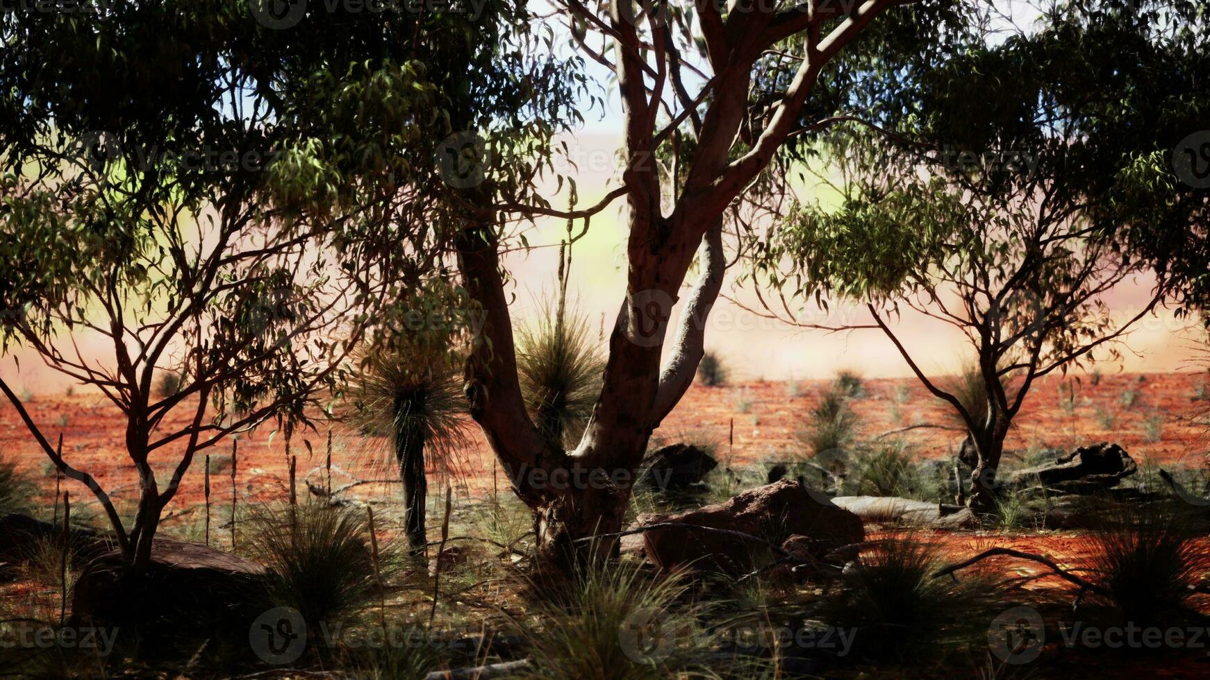 A serene landscape with trees and rock photo