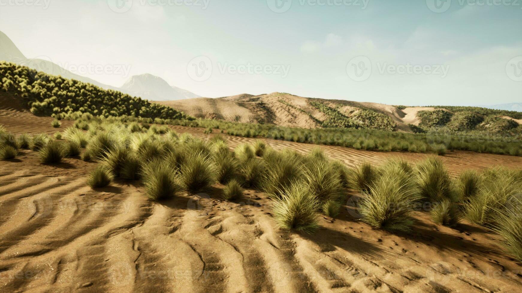 A serene desert landscape with lush grass and majestic mountains in the distance photo