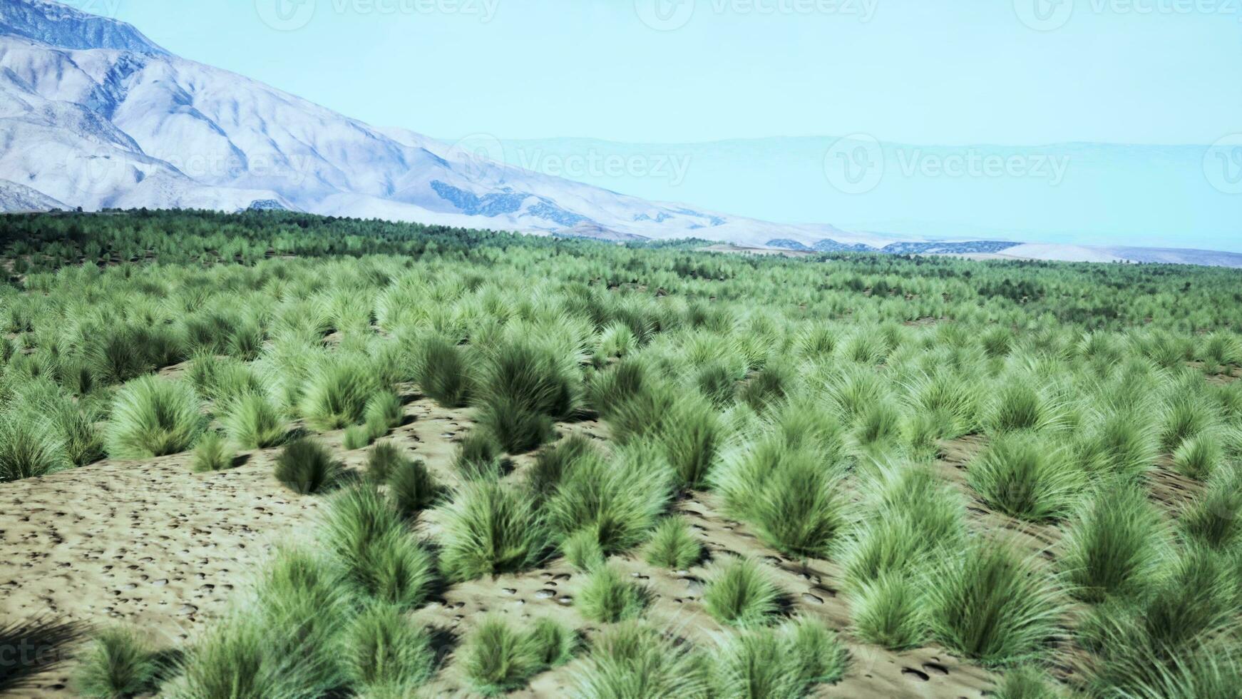 un sereno paisaje con montañas en el distancia y un vasto campo de césped foto