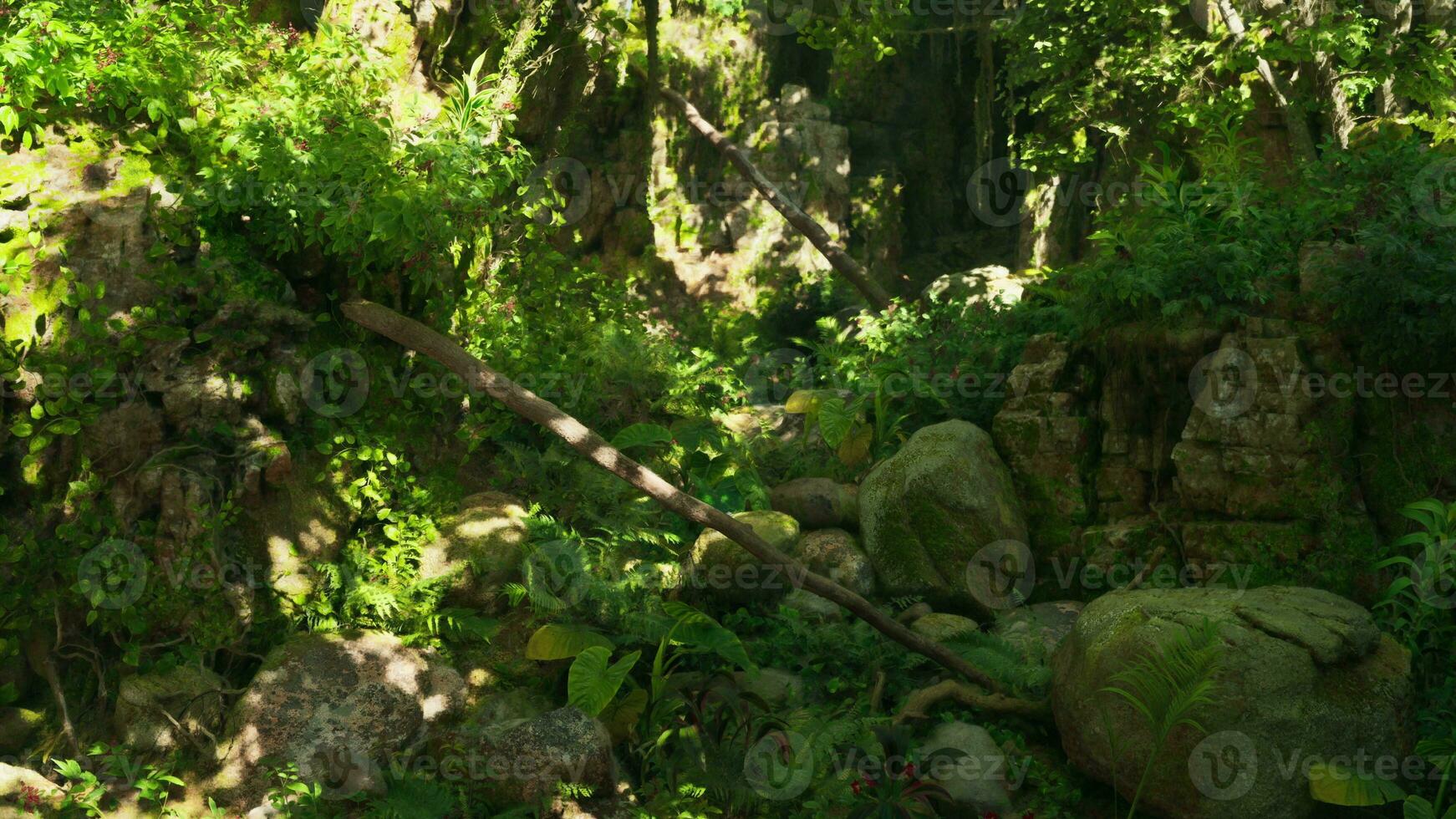 A forest filled with lots of green plants and rocks photo