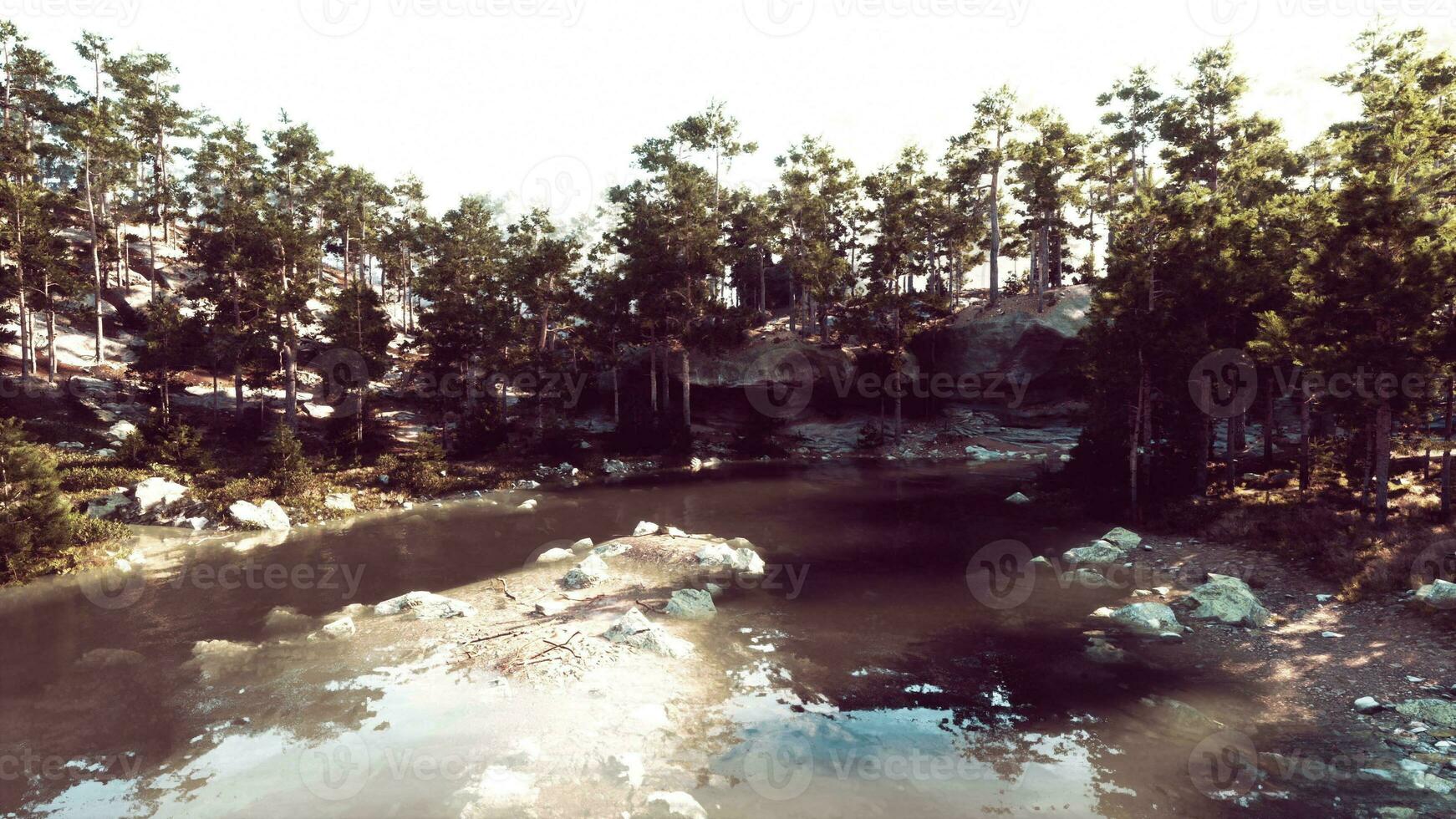 scenic mountain vista, with a tranquil lake and towering pines photo