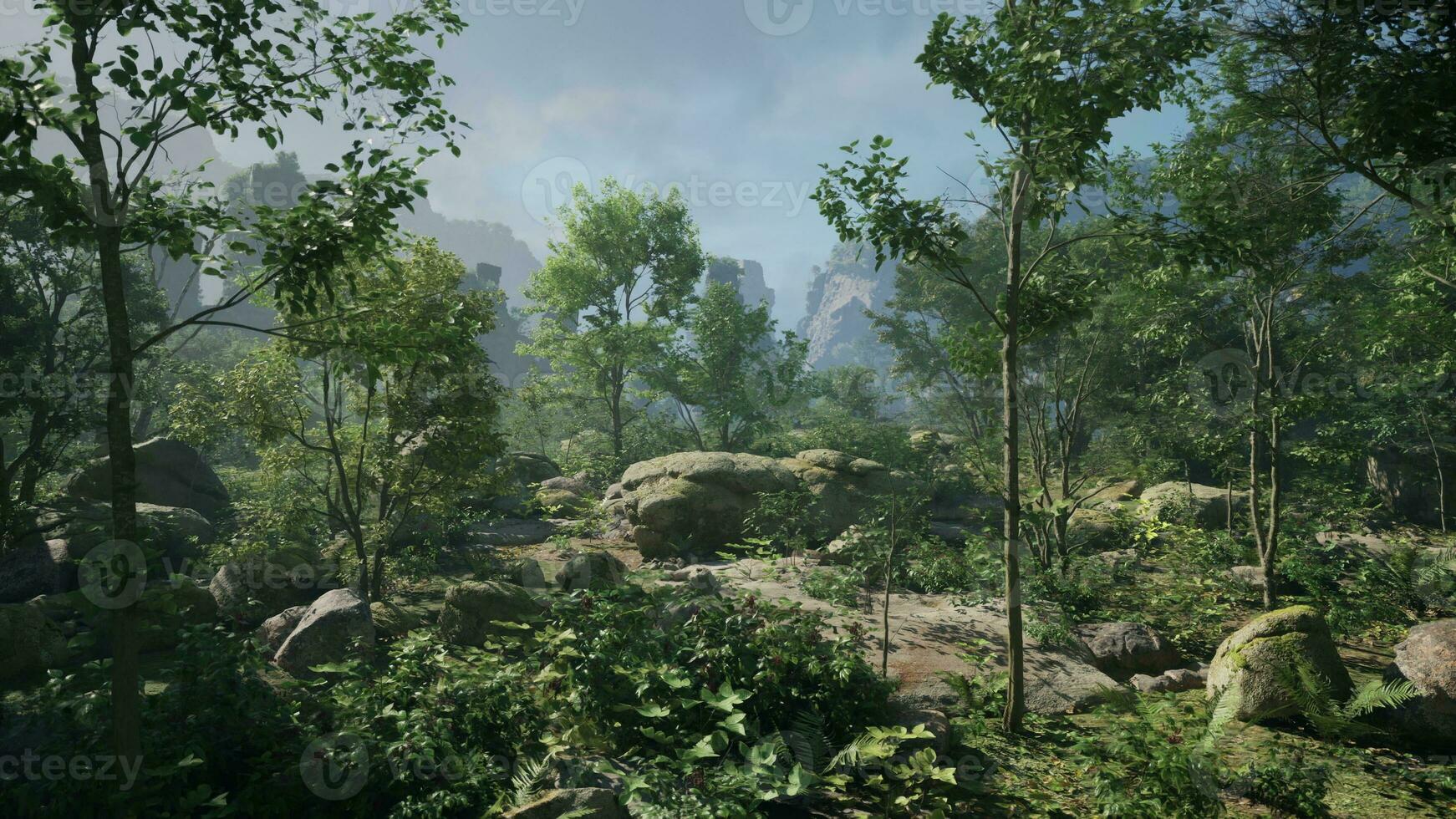 A forest filled with lots of trees and rocks photo