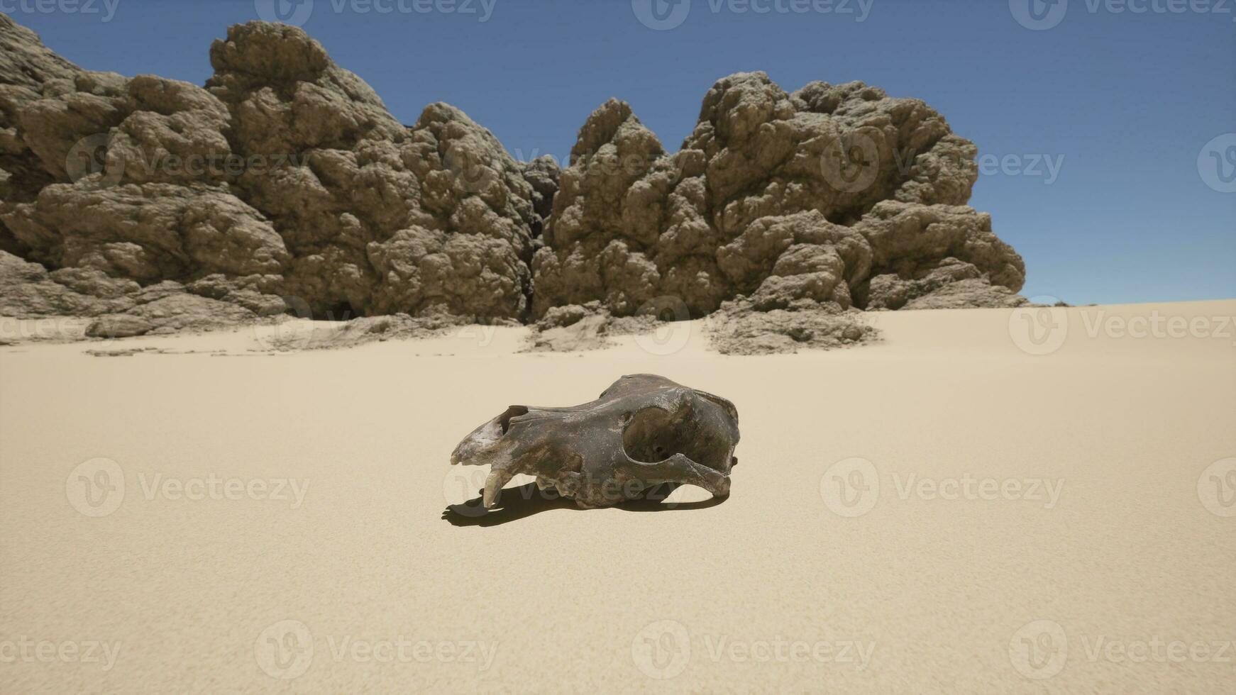 A dead animal in the middle of a desert photo