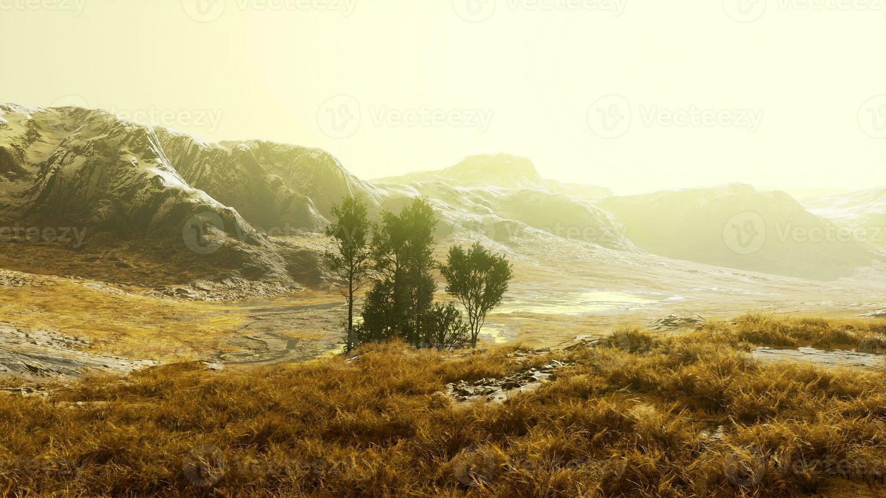 un pacífico paisaje con arboles y montañas en el distancia foto