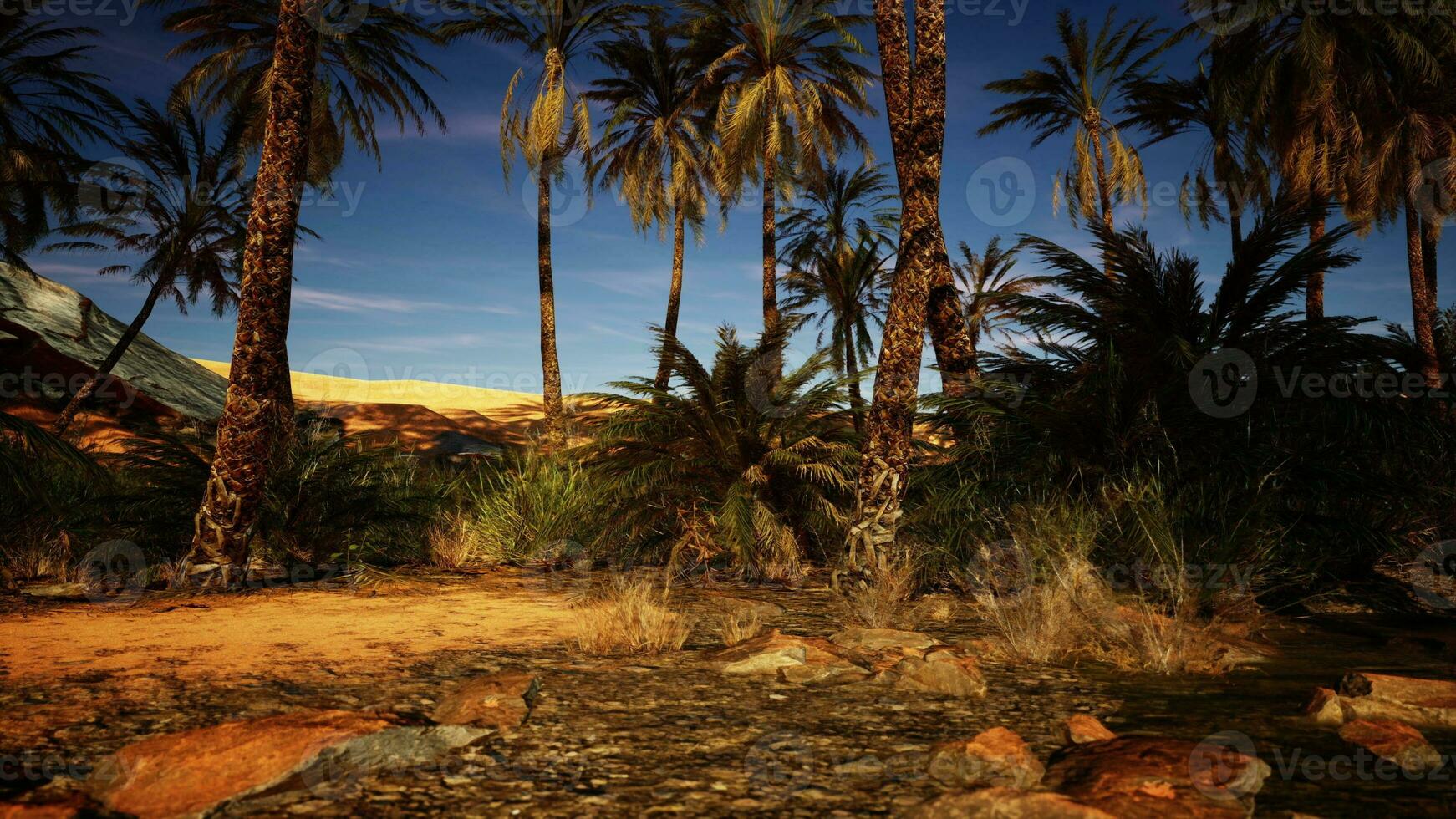 Palm trees and rocks in the desert at night photo