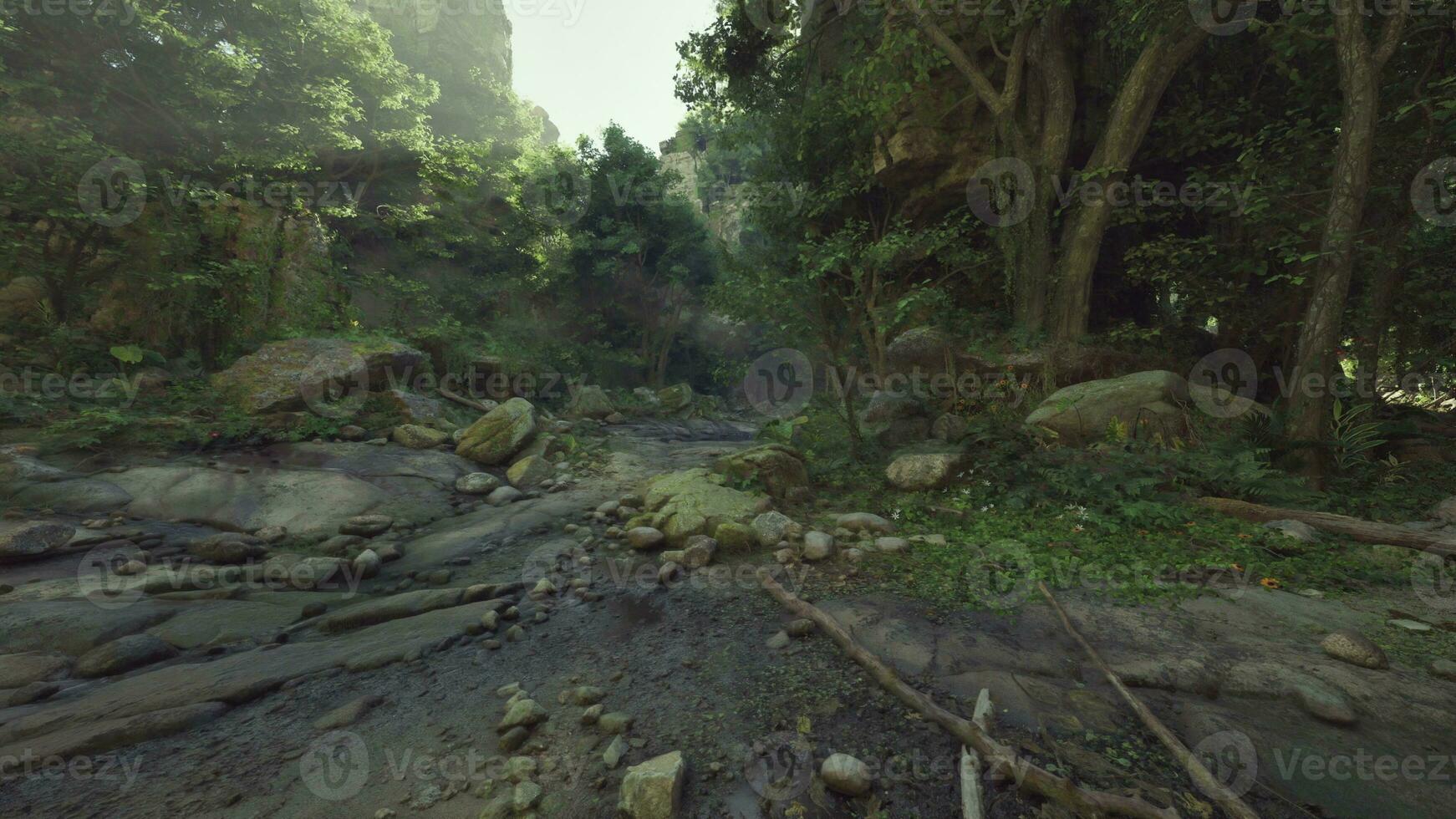 A small stream running through a lush green forest photo