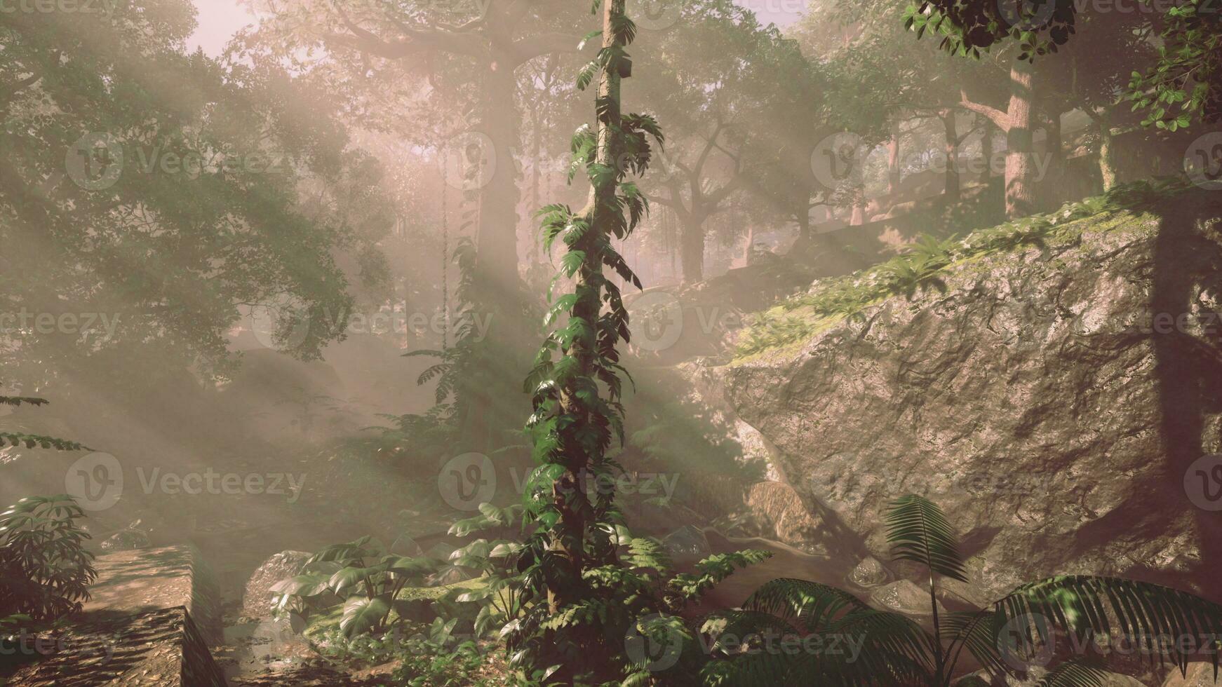 dentro un selva cubierto en brillante verde musgo foto