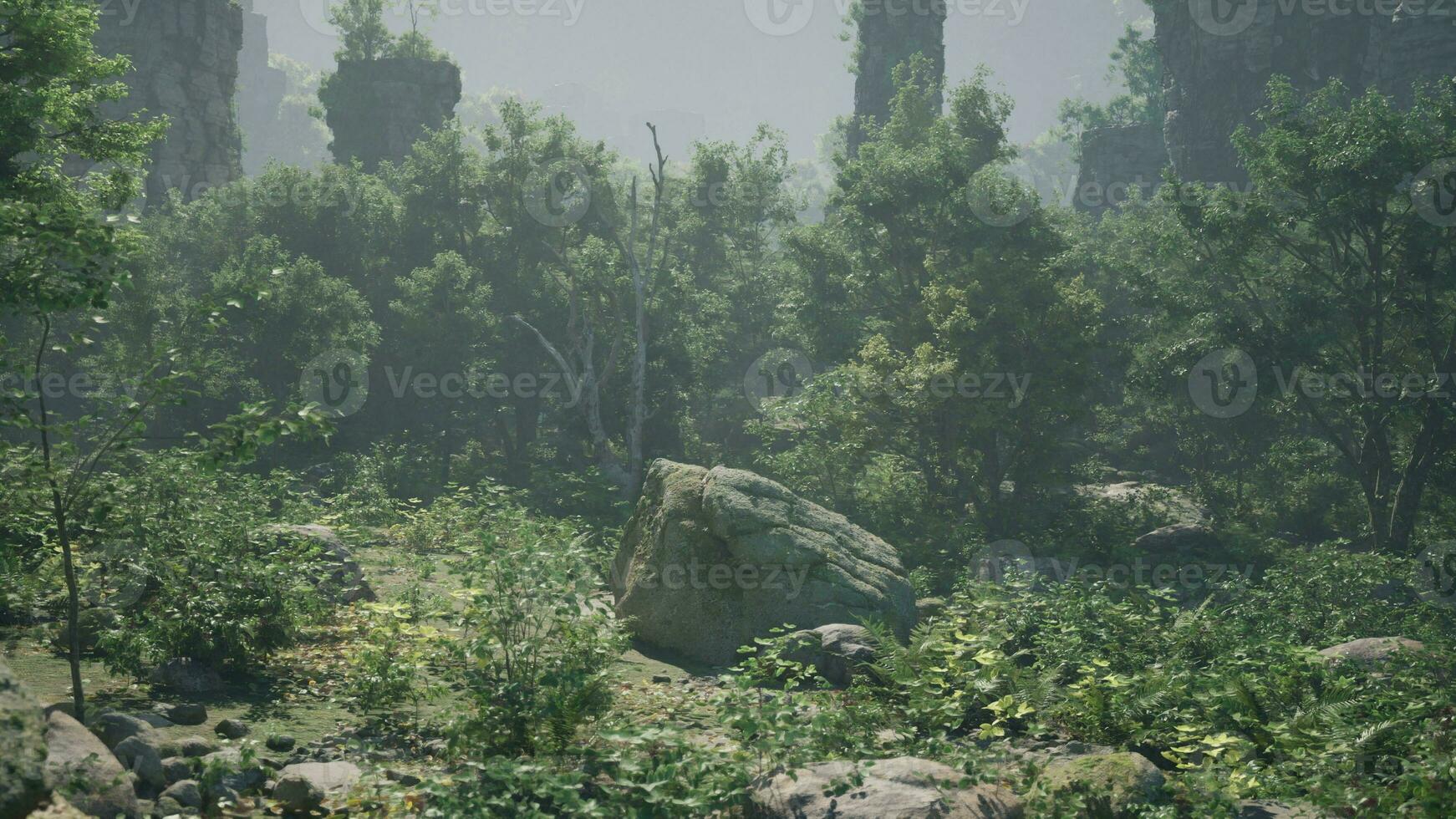 A rock in the middle of a forest photo