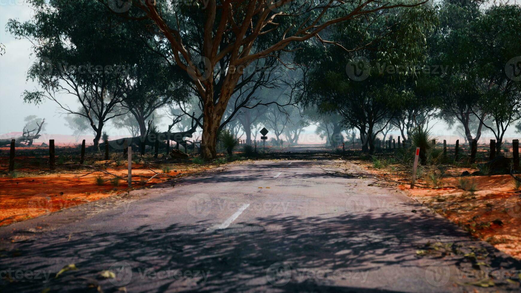An empty road surrounded by lush trees photo