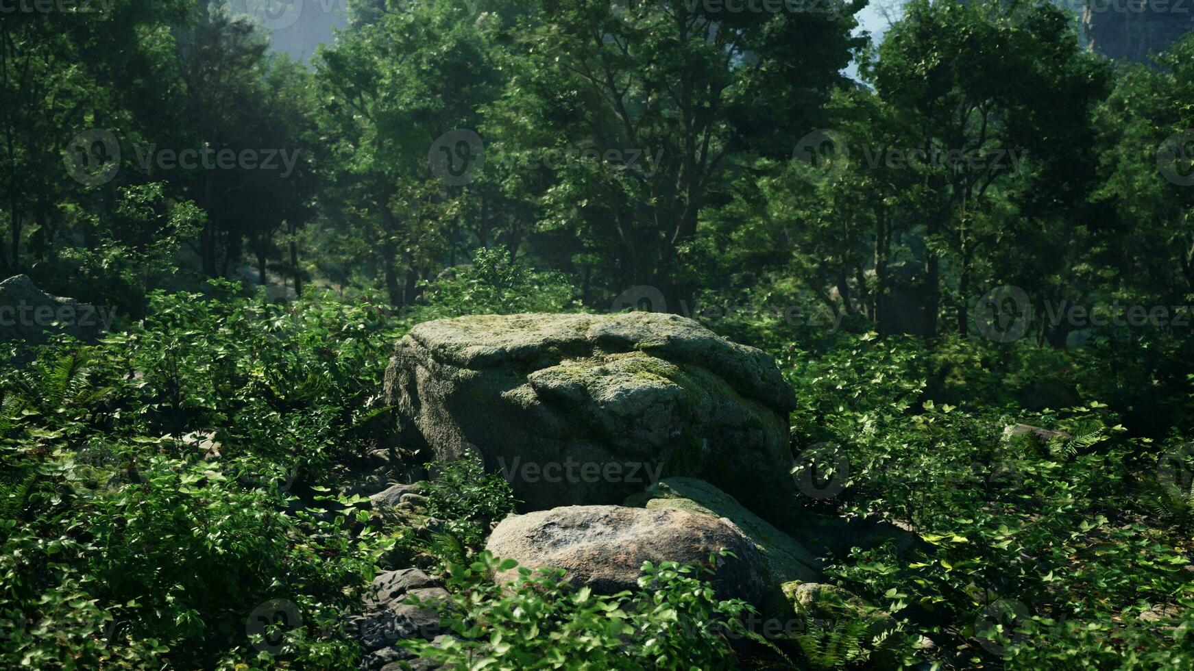 A rock in the middle of a lush green forest photo