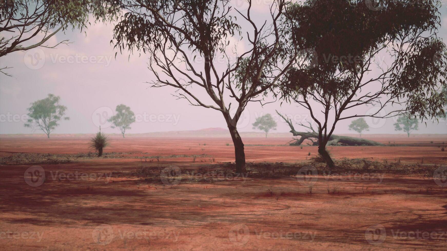 A serene landscape with trees in a vast open field photo