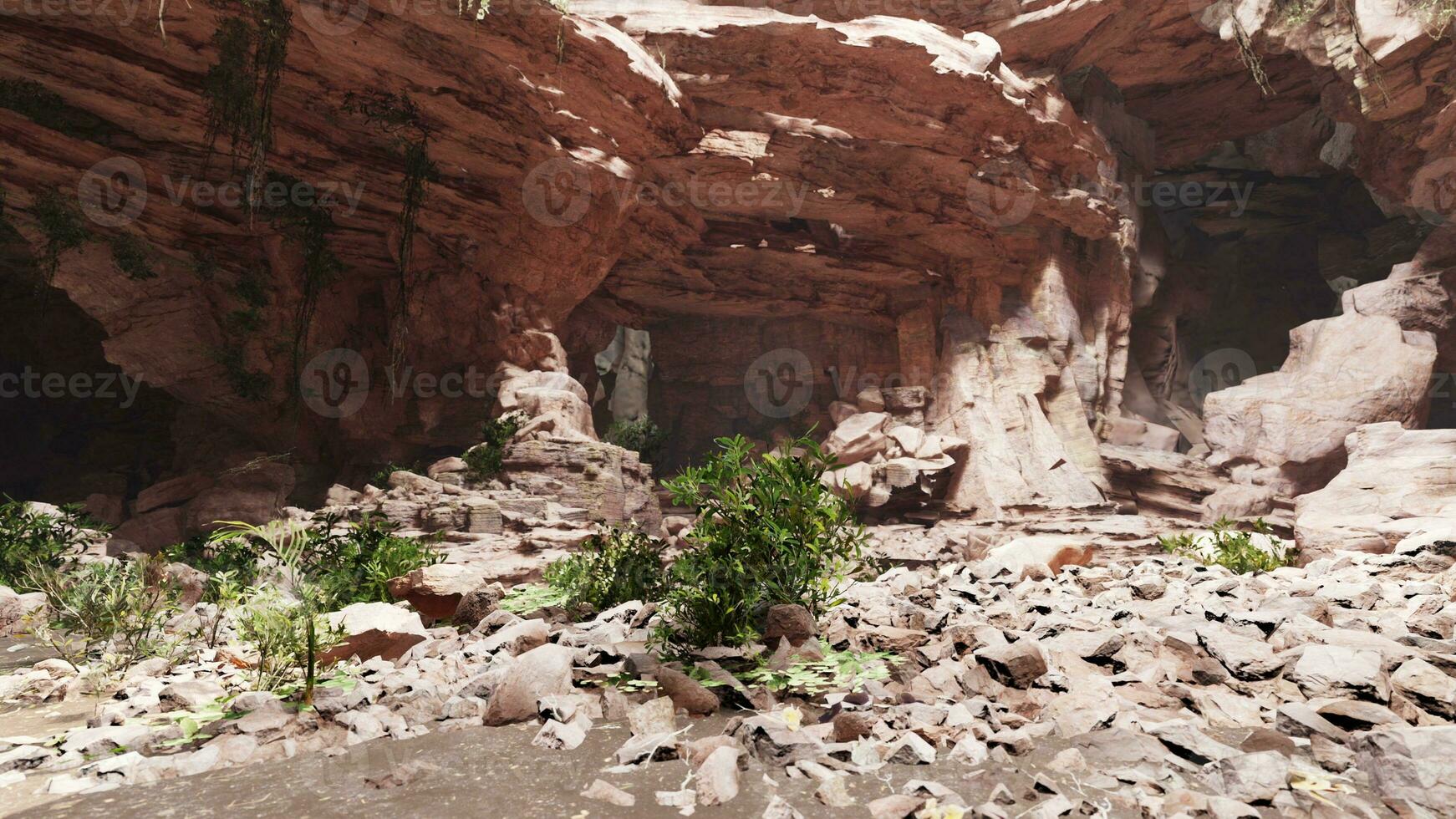 A rocky landscape with vibrant plant life photo