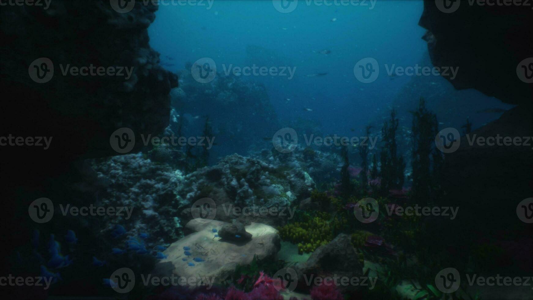 Shallow ocean floor with coral reef and fish photo