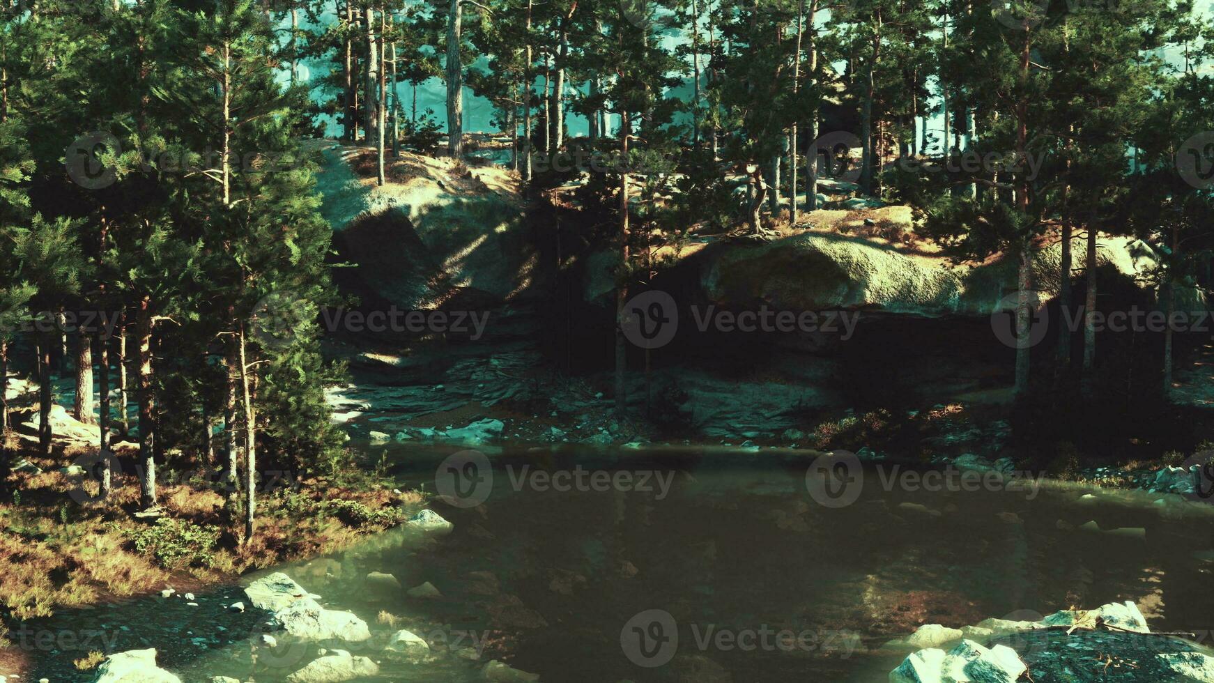 stunning natural haven, with a crystal-clear lake and towering evergreens photo
