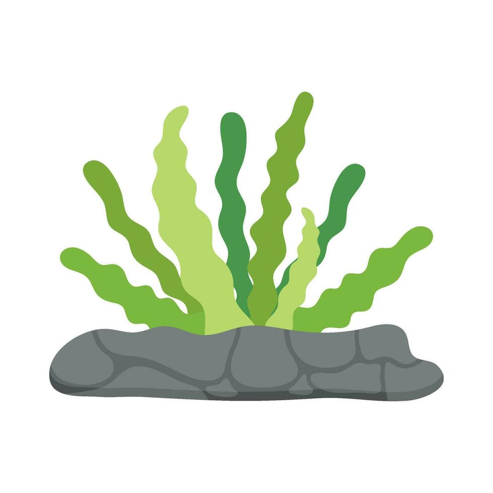 Flat illustration of sea coral reef vector