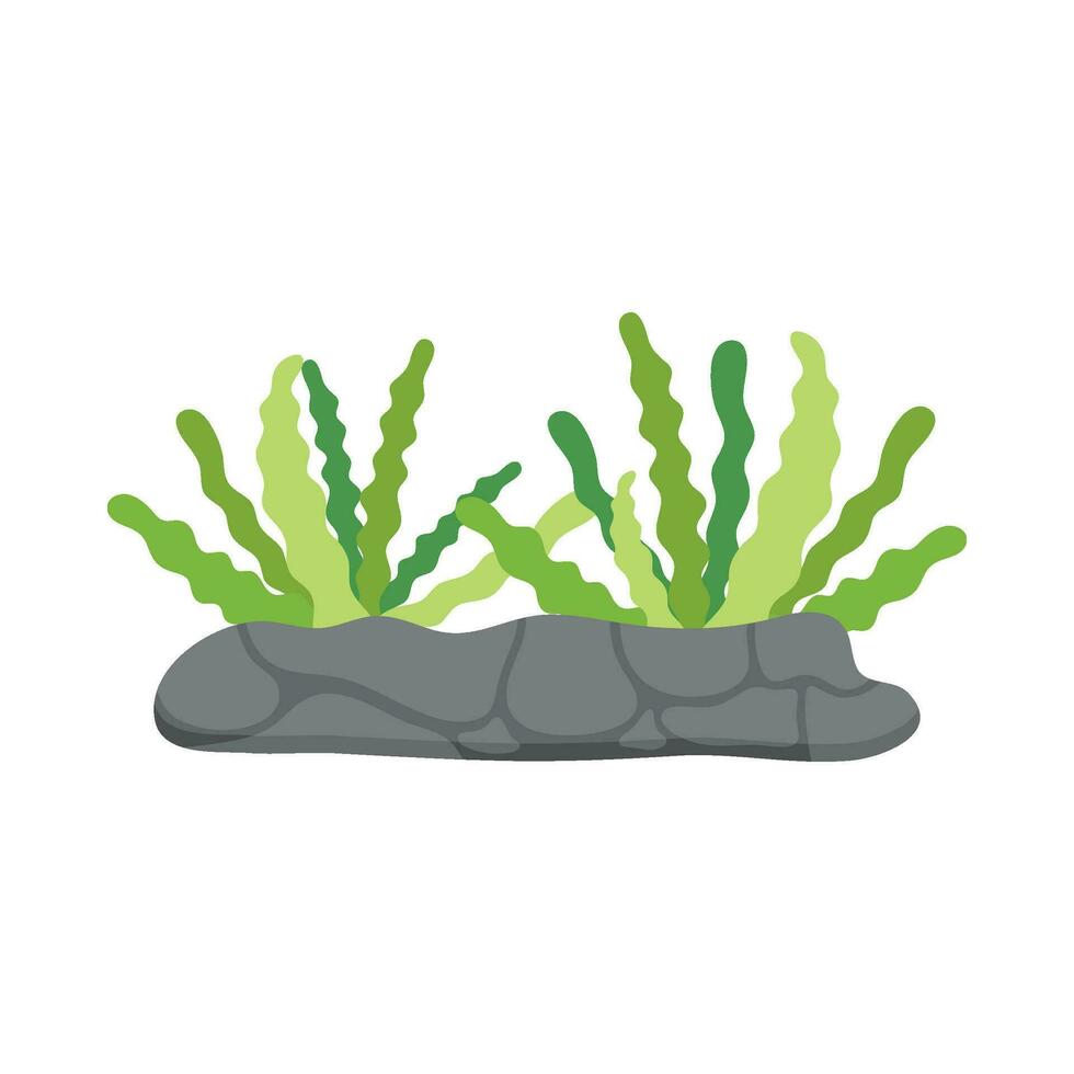Flat illustration of sea coral reef vector