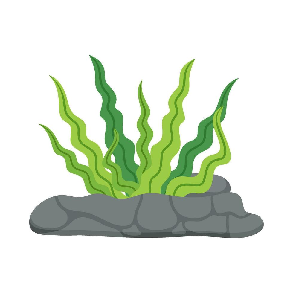 Flat illustration of sea coral reef vector