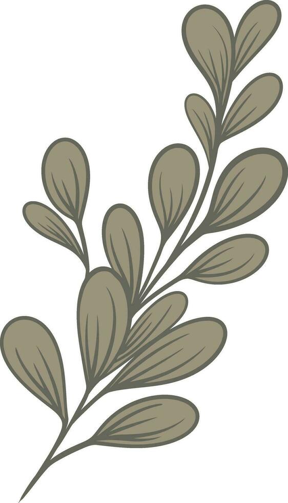 Plant Element iIlustration vector