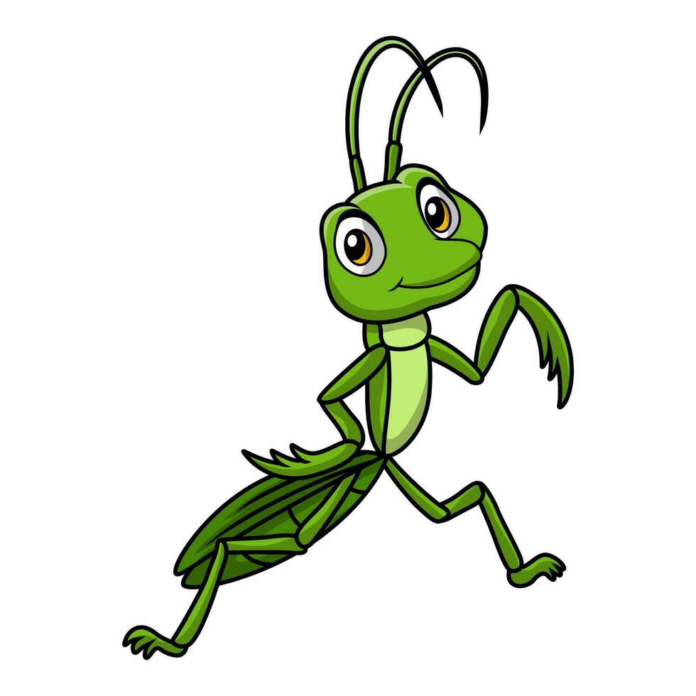 linda mantis dibujos animados en blanco antecedentes vector