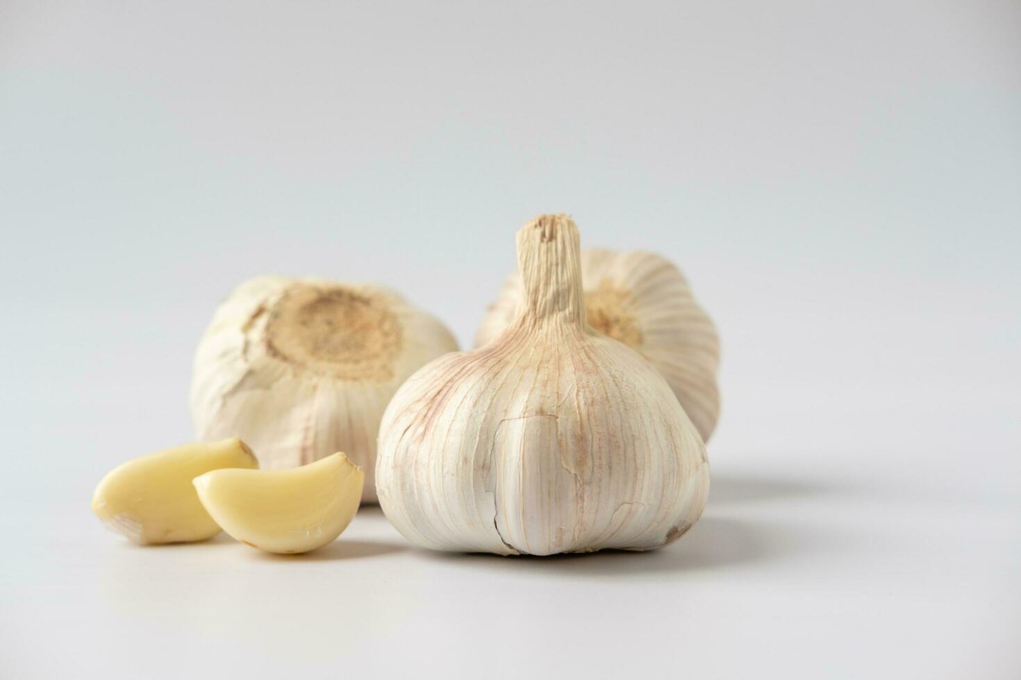 A large head of garlic on a white background photo