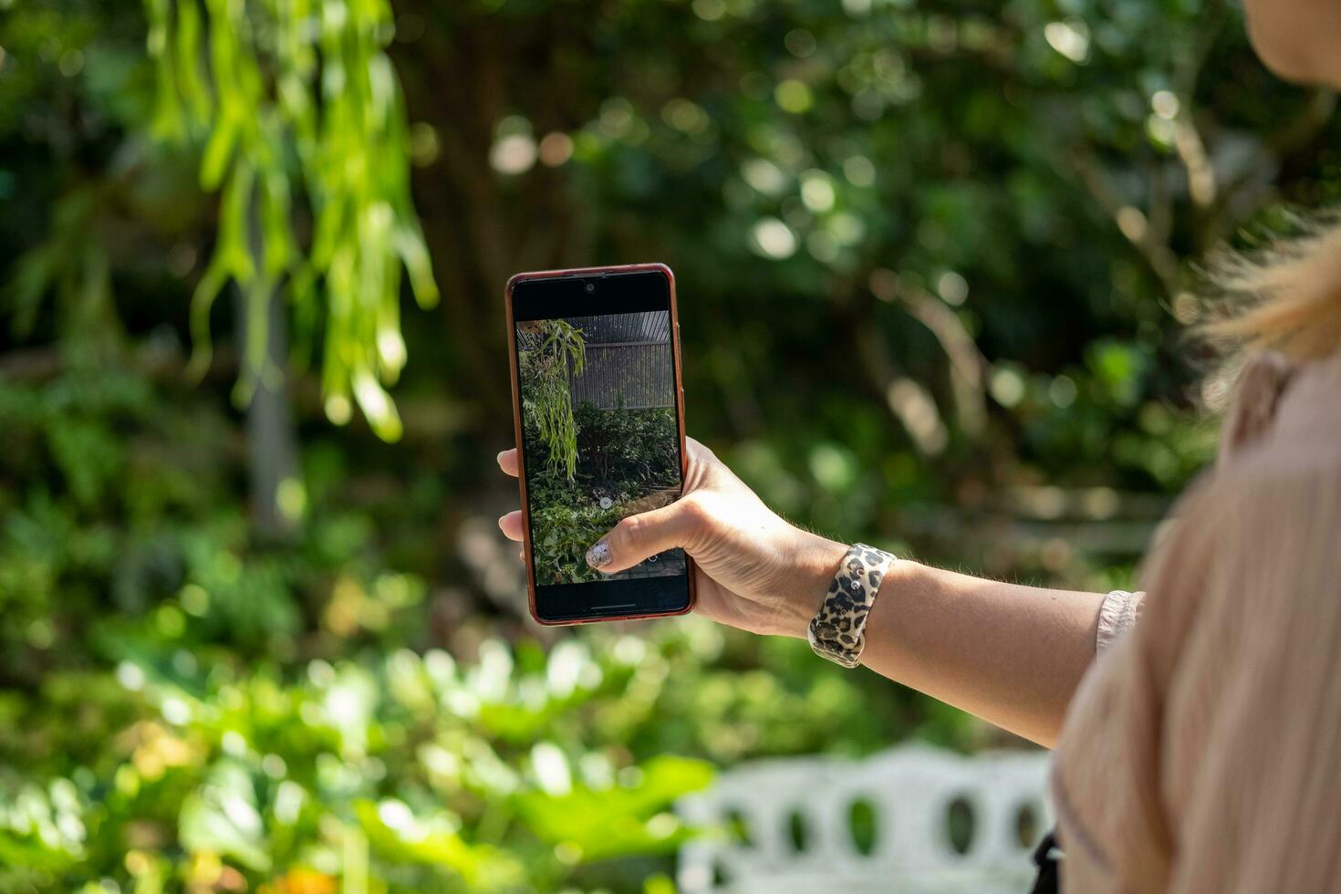 Woman's hand holding a mobile phone taking pictures of a botanical garden photo