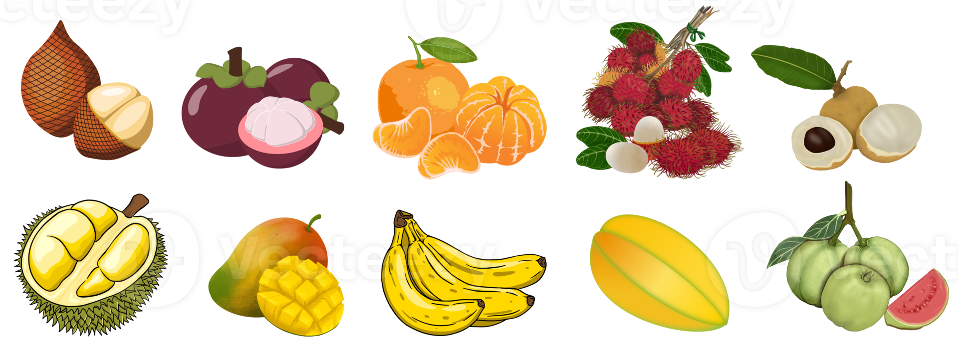 Tropical fruits set. Vector isolated elements on the transparent background png